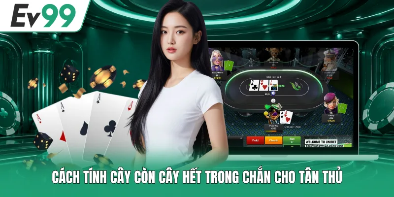Cách tính cây còn cây hết trong Chắn cho tân thủ