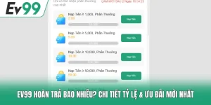 EV99 Hoàn Trả Bao Nhiêu? Chi Tiết Tỷ Lệ & Ưu Đãi Mới Nhất