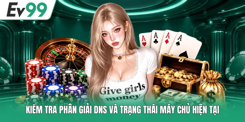 Link EV99 Không Bị Chặn - Cách Kiểm Tra Link Chuẩn 2026 3 Kiểm tra phân giải DNS và trạng thái máy chủ hiện tại