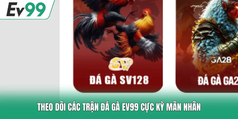 Đá Gà EV99 2 Theo dõi các trận đá gà EV99 cực kỳ mãn nhãn